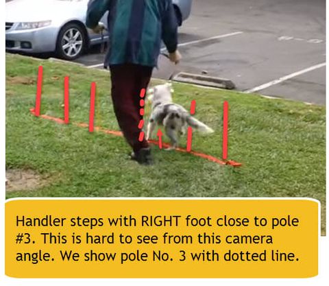 weave poles step #3 with right foot beside pole 3.